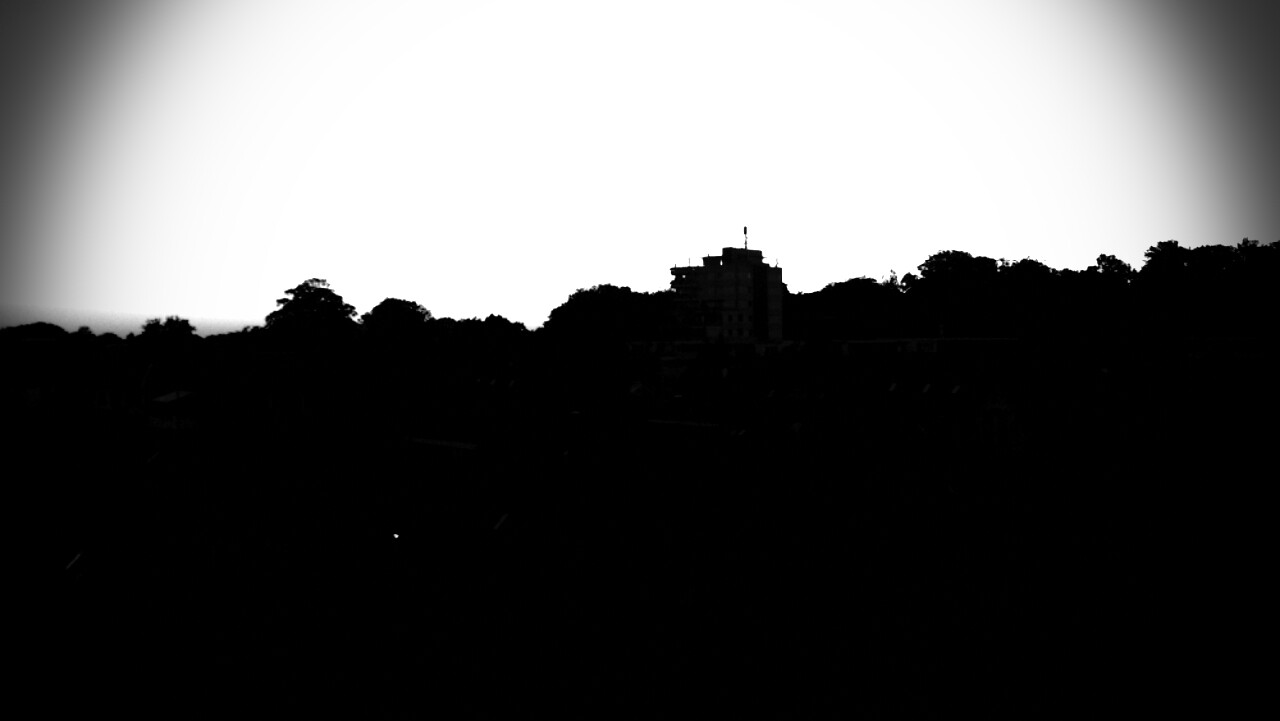 Blog Single